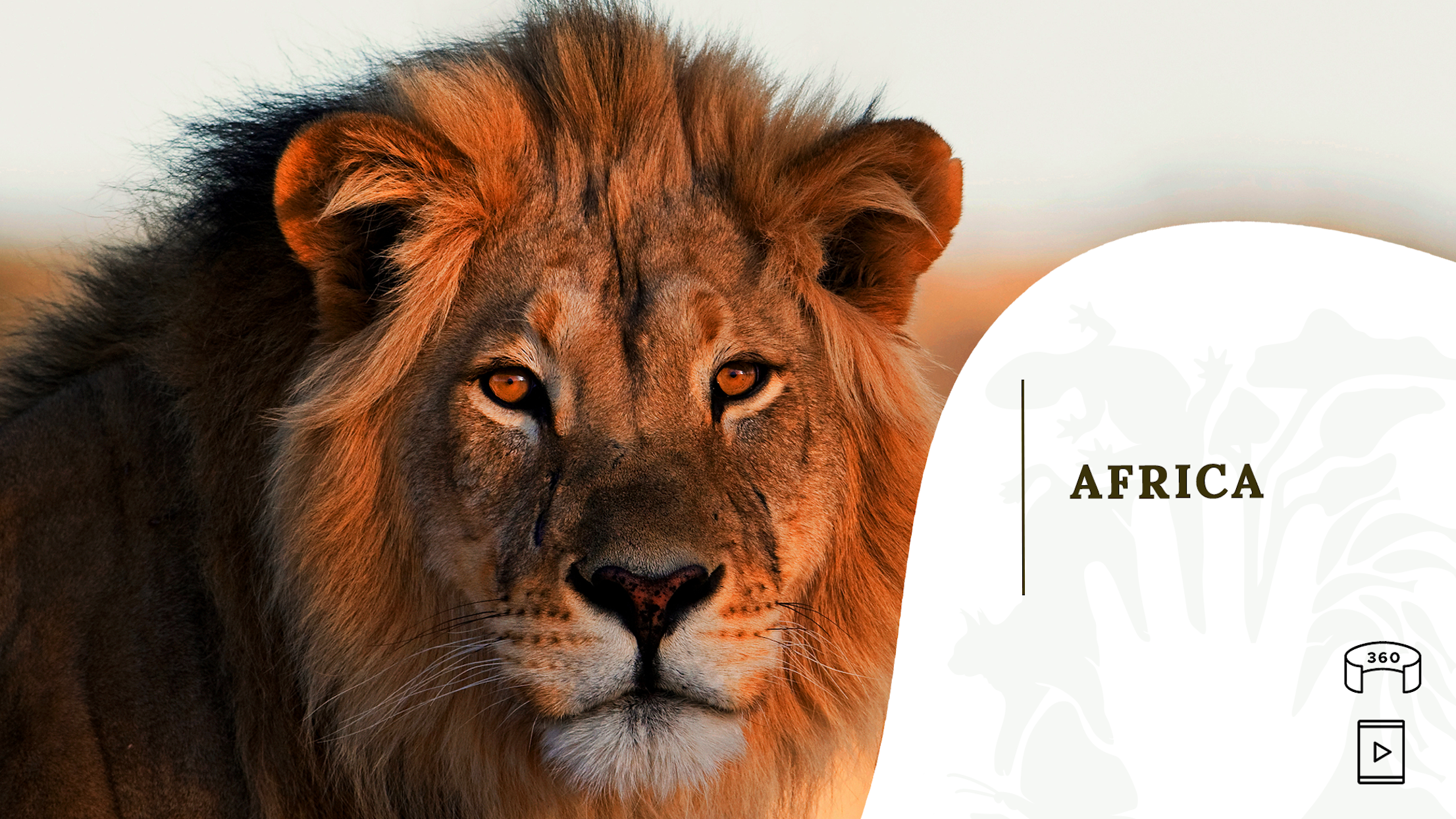 sha224-i-57951fbe245a9f055b9bbfc8faaf7595059b2a21e37abc8940ef533e